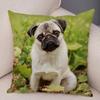 Soft and Cute Pug Series Double-sided Printed Decorative Pet Animal Pillowcases Suitable for Car Sofa Home Car Pillowcases