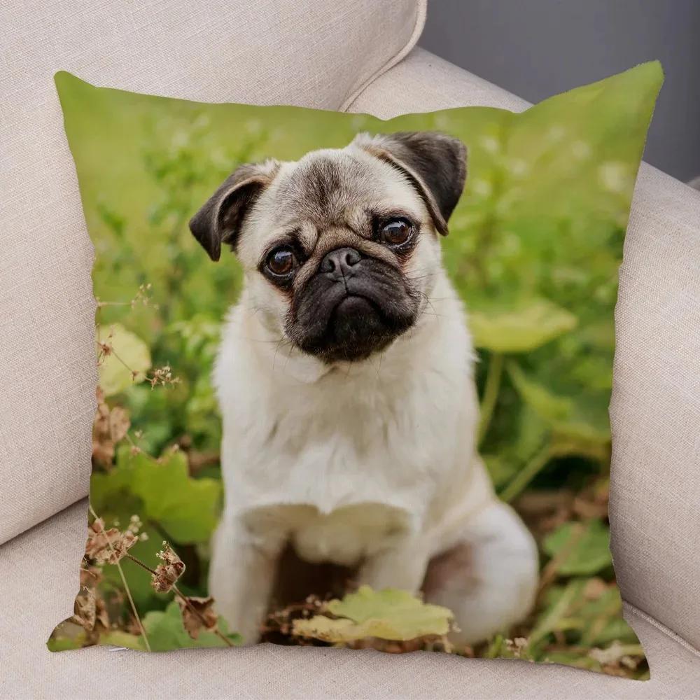 Soft and Cute Pug Series Double-sided Printed Decorative Pet Animal Pillowcases Suitable for Car Sofa Home Car Pillowcases