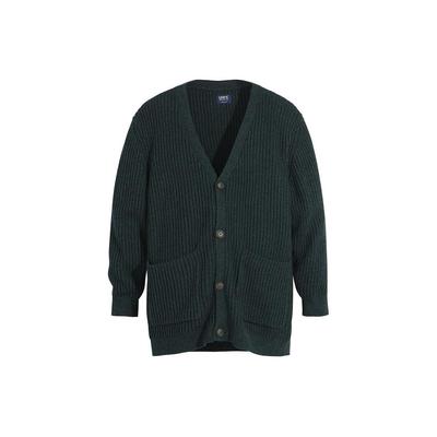 Levis Midnight Blue Label Series V-Ausschnitt Einfarbig Langarm Bequemer Lässiger Strickpullover Herrenpullover Grün A0291-0000