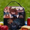 Fundamental Paper Education Lunch Bag For Men  Print Lunch Box Casual Office Cooler Bag Convenient Waterproof Thermal Lunch Bags