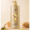 Shu Lei Ginseng Ginger Hair Strengthening Shampoo