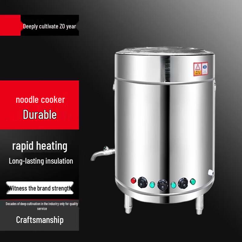 Commercial Multipurpose Electric Noodle Cooker & Steamer