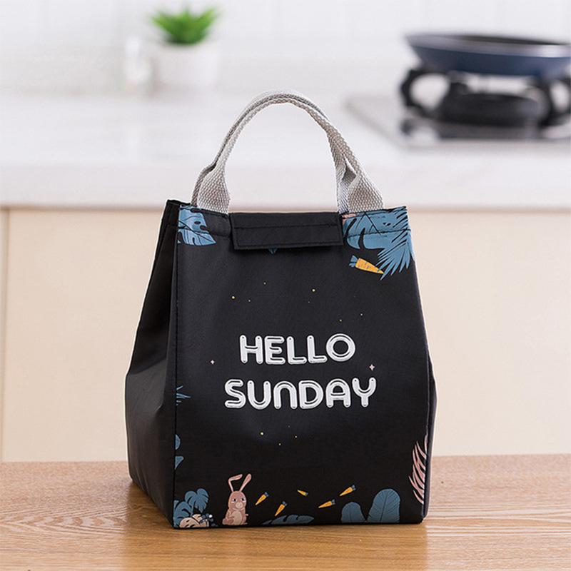 Cute Lunch Box Thermal Bags Portable Insulated Cooler Food Carrier Large Capacity Handbags for Women Picnic Bento Bag Container