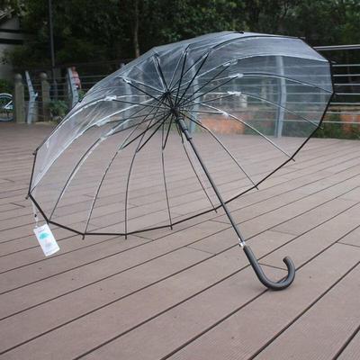 Hanyou Transparent Lace Long Handle Umbrella