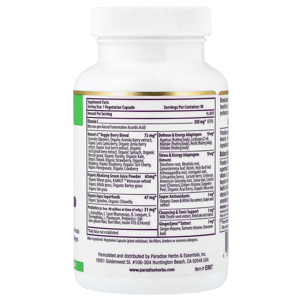 iHerb Paradise Herbs Earth's Blend Vitamin C 500mg Veggie Capsules, 90 Count