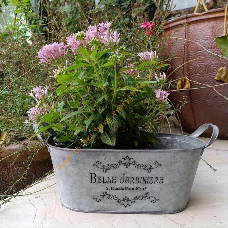 Metall Eimer Pflanzgefäß mit Doppelgriffen Eisen Blumentopf Metall Tablett zur Aufbewahrung 55KF