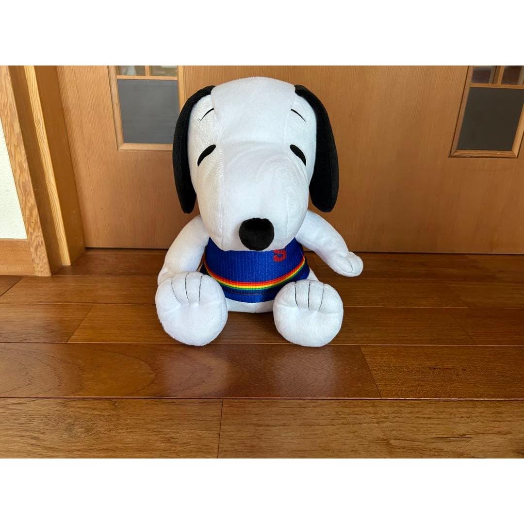 PEANUTS Snoopy SNOOPY stuffed toy colorful vest ver.