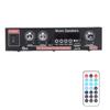 Power Amplifier Mini Bluetooth Intelligent Digital with Remote Control