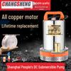 Multi-Voltage DC Submersible Water Pump for Household and Electric Car Use