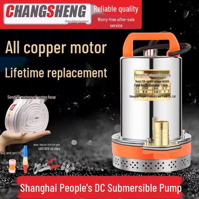 Multi-Voltage DC Submersible Water Pump for Household and Electric Car Use