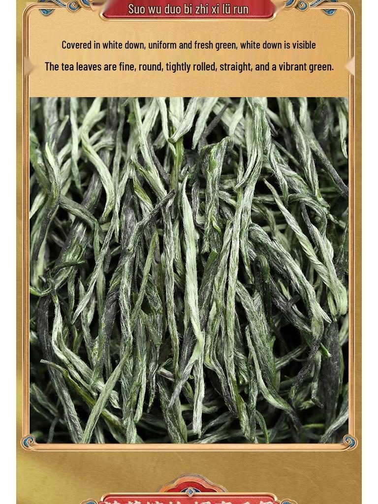 Mao Jian 2025 Pre-Rain High Mountain Green Tea Buds, 500g Can, Rich Aroma, Durable Infusion, Spring Tea Gift Box