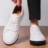 2026New Classic Casual Leather Mens Shoes Fashion Wear-resistant Sole Genuine Leather Board Shoes Trend Versatile Walking Shoes