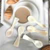 Seashells Natural Conch Caviar Spoons Coffee Scoop Stirring Tool Teaspoon
