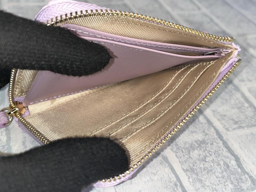 GUODI Compact Mini Wallet with L-Shaped Zipper and Carrying Strap, Genuine Python Leather, HJ-PY101, Snakeskin Leather Wallet, Mini Wallet, Unisex,