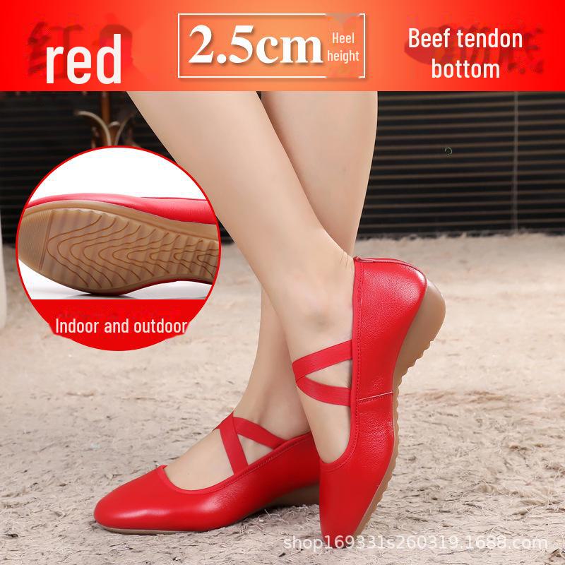 

Женские туфли для бальных танцев из мягкой кожи - низкий каблук, плоский каблук, подошва из коровьей кожи 41