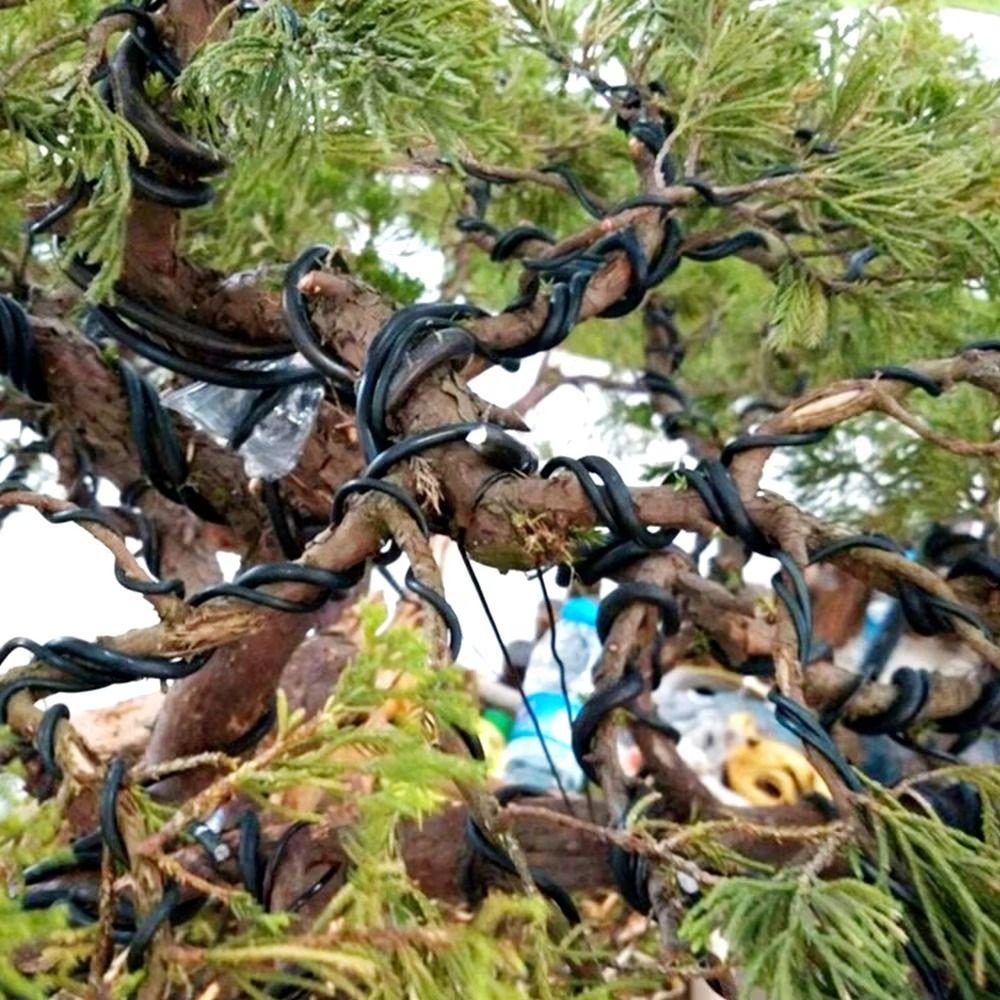 1Pcs Plant DIY Shape Aluminum Training Wires Orchard Garden Tools Home Use Garden Accessories