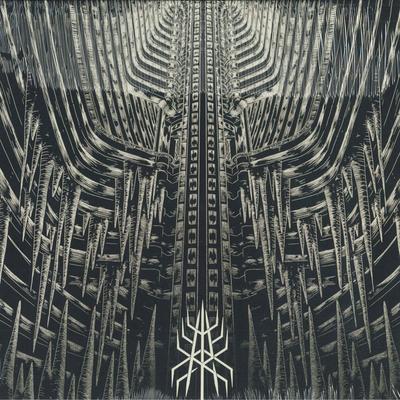 LP Record MODERN RITES - Monuments DMP0208 Debemur Morti P 2021 France Rock
