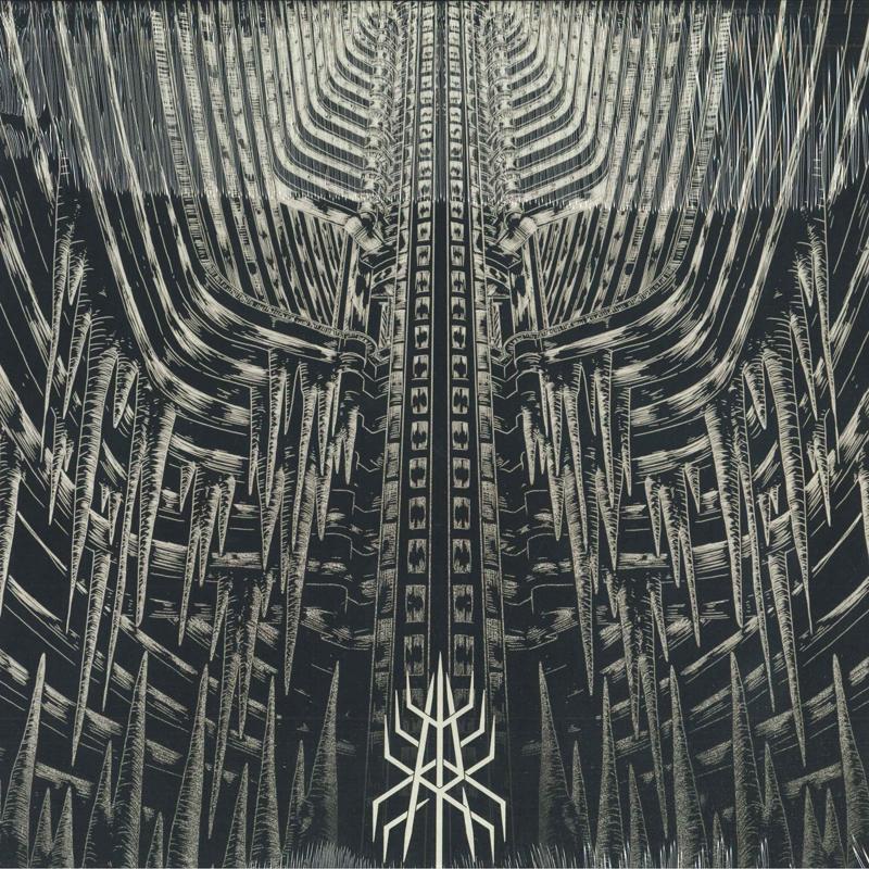 

Пластинка MODERN RITES - Monuments DMP0208 Debemur Morti P 2021 France Rock