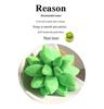 Cross-Border Succulent Plush Pillow Toy - Cute Plant Pillow for Kids