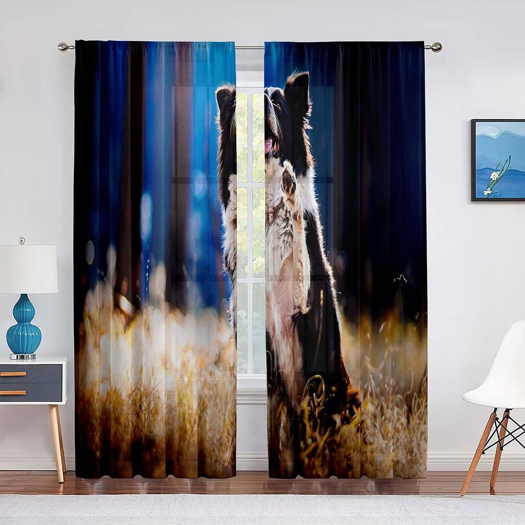 Two Pretty Border Collie Dog Tulle Curtains for Living Room Sheer Transparent Curtains Window for The Bedroom Accessories Decor