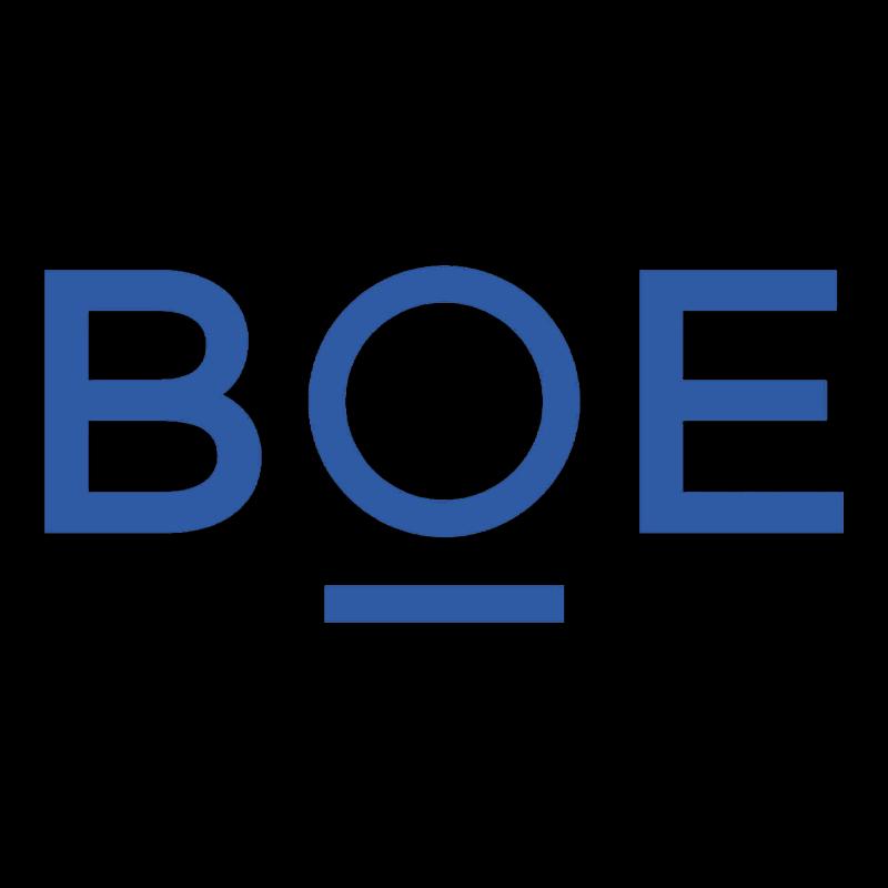 BOE P2 LED Display Screen CN plug (adapter included)