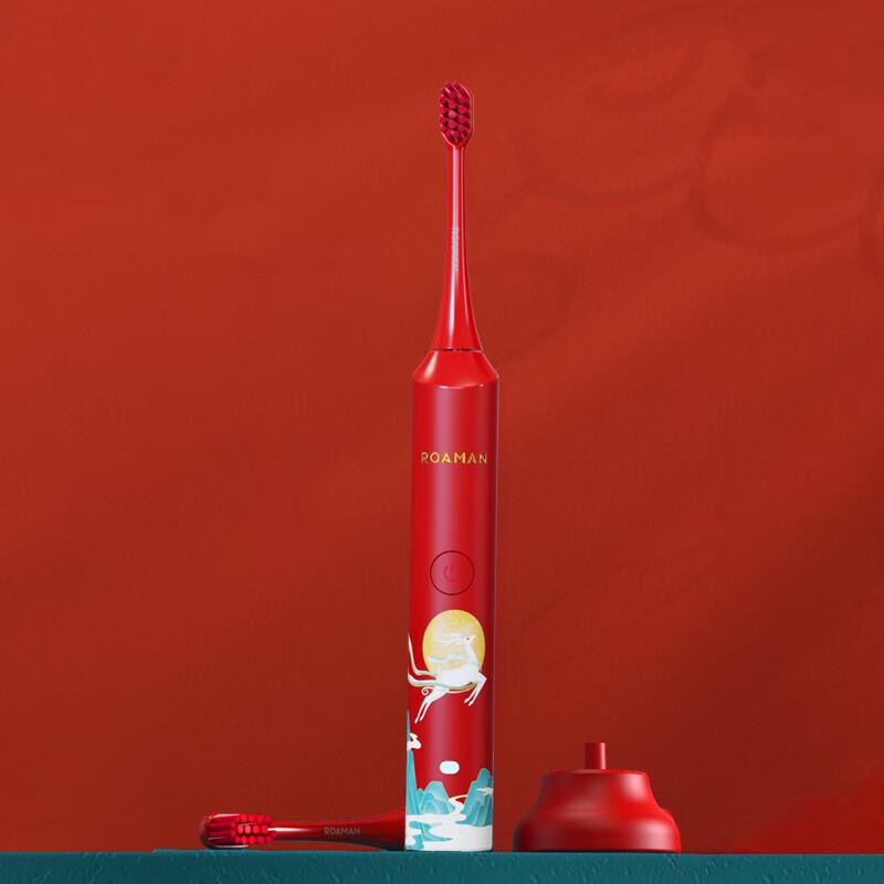 ROAMAN G10 Sonic Electric Toothbrush for Adults CN Plug (adapter Included)