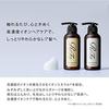 ReFa ION CARE SHAMPOO BEHANDLUNGSSET MTG Schäden Reparatur