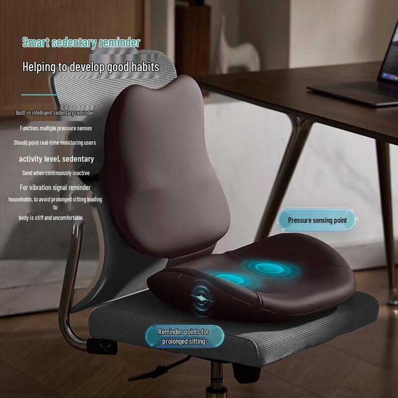 Philips Back and Neck Heat Massage Cushion
