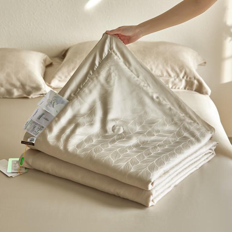 Brangdy Ice Silk Summer Cooling Quilt