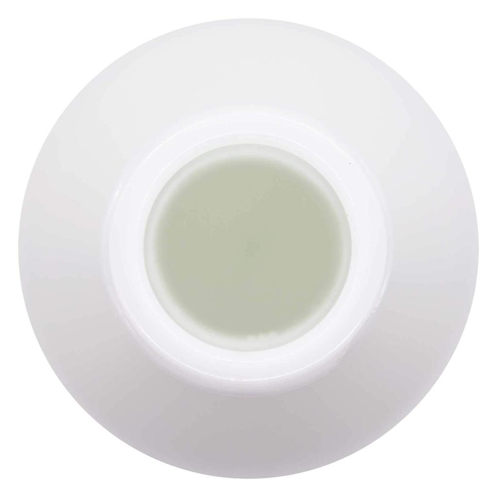 Otsuka Glass Kitchen Decor Storage Bottles (Jugs), Beverage Bottles, 300ml, Set of 2, White, Made In Japan, SD300-AITO-2P