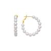 Luxenter Earring In Metal Alloy and Ruby Zirconia Finished In 18 Carat Yellow Gold - Amku