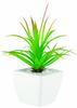 Kishima Succulent Plant Artificial Green B Type (L) KH-60843