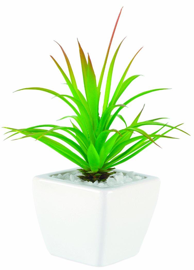 Искусственное суккулентное растение Kishima, тип B, зеленое (L) KH-60843