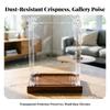 Acrylic Display Box with Wooden Base | Dustproof Preserving Enclosure,