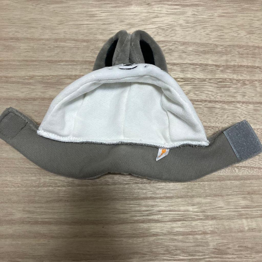 [USED] Stray Kids Bang Chan Wolf Chan Penlight Cover