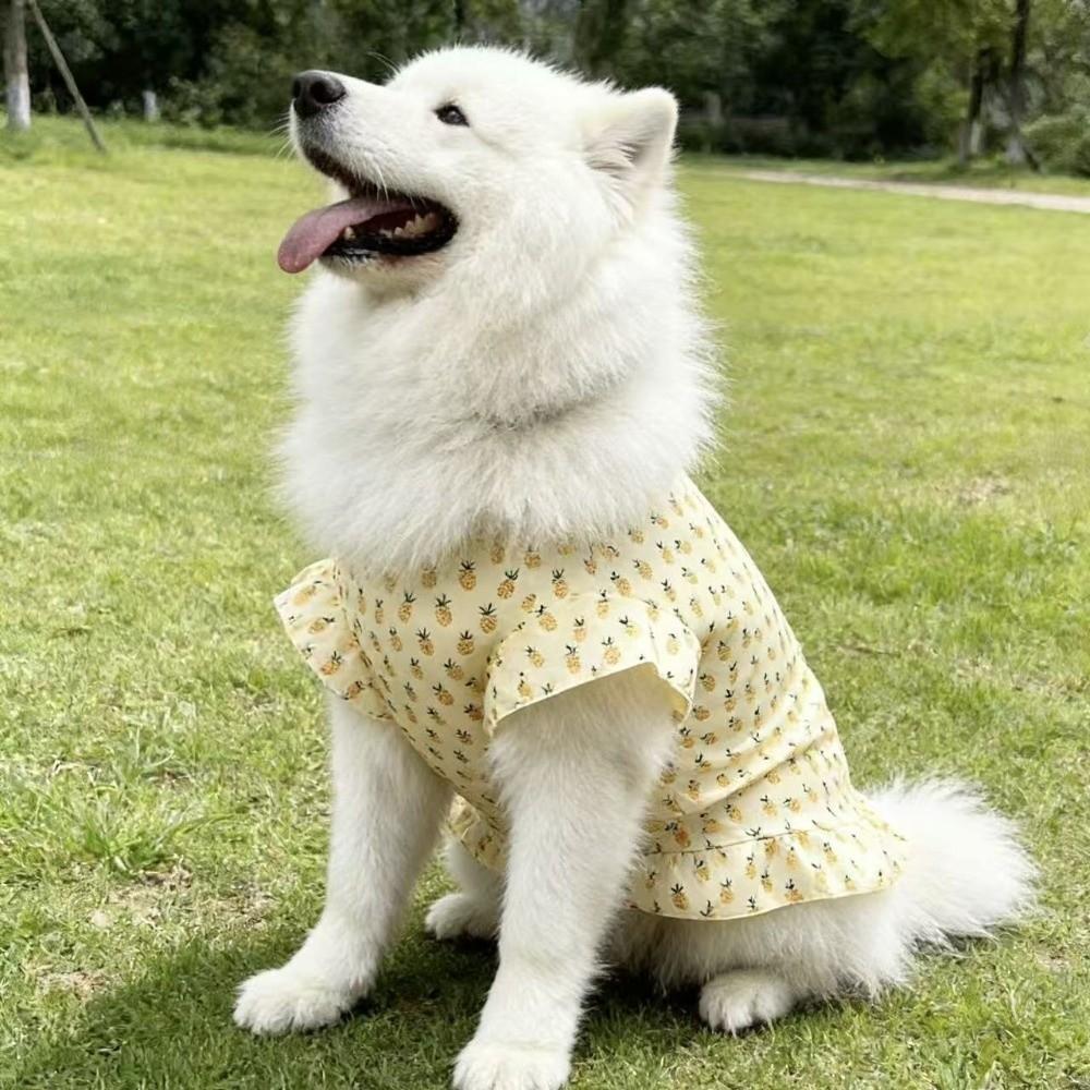 Thin Breathable Dog Floral Skirt Fruit Print Dog Cooling Clothes Pet Pullover Spring Summer