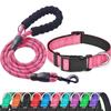 Adjustable Reflective Nylon Dog Collar and Leash Set
