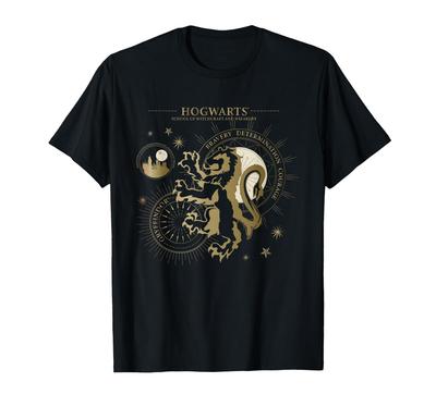 Harry Potter Brave Determination Courage Gryffindor T-Shirt