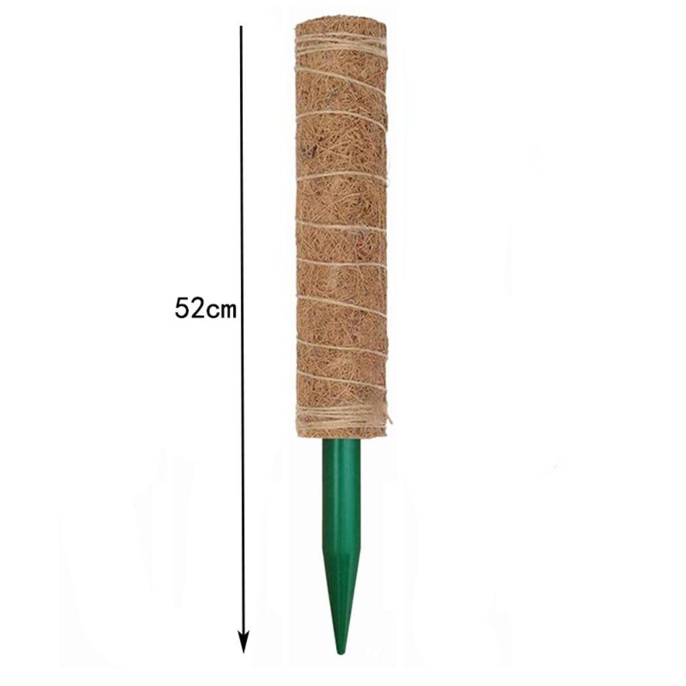 Fashion Detachable Moss Pole 32/42/52cm Gardening Tools Plant Climbing Pole To Grow Upwards Coconut Palm Stick Indoor