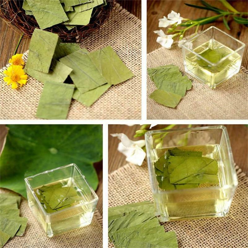 Traditional Tea Lotus Leaf Green Tea Herbal Tea