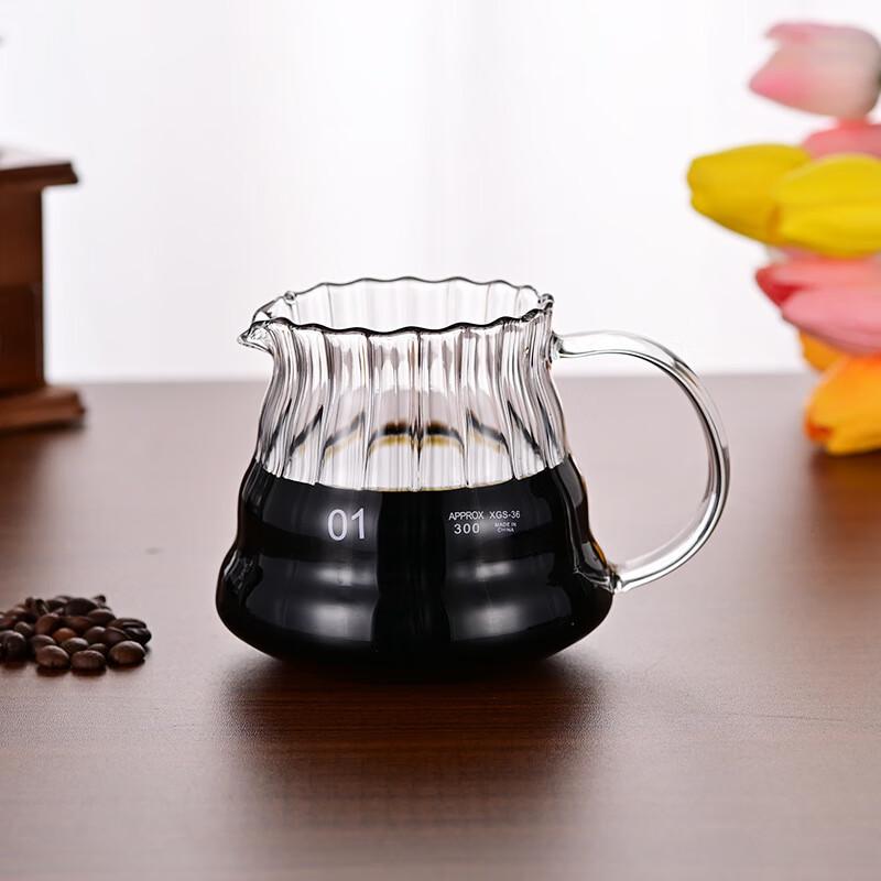 ZISIZ Glass Coffee Filter & Server Set