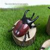 1/3Pcs Simulation Animals Home Desk Decoration Accessory Laser Dazzle Clockwork Big Beetle Model Unique Kids Gift Idea