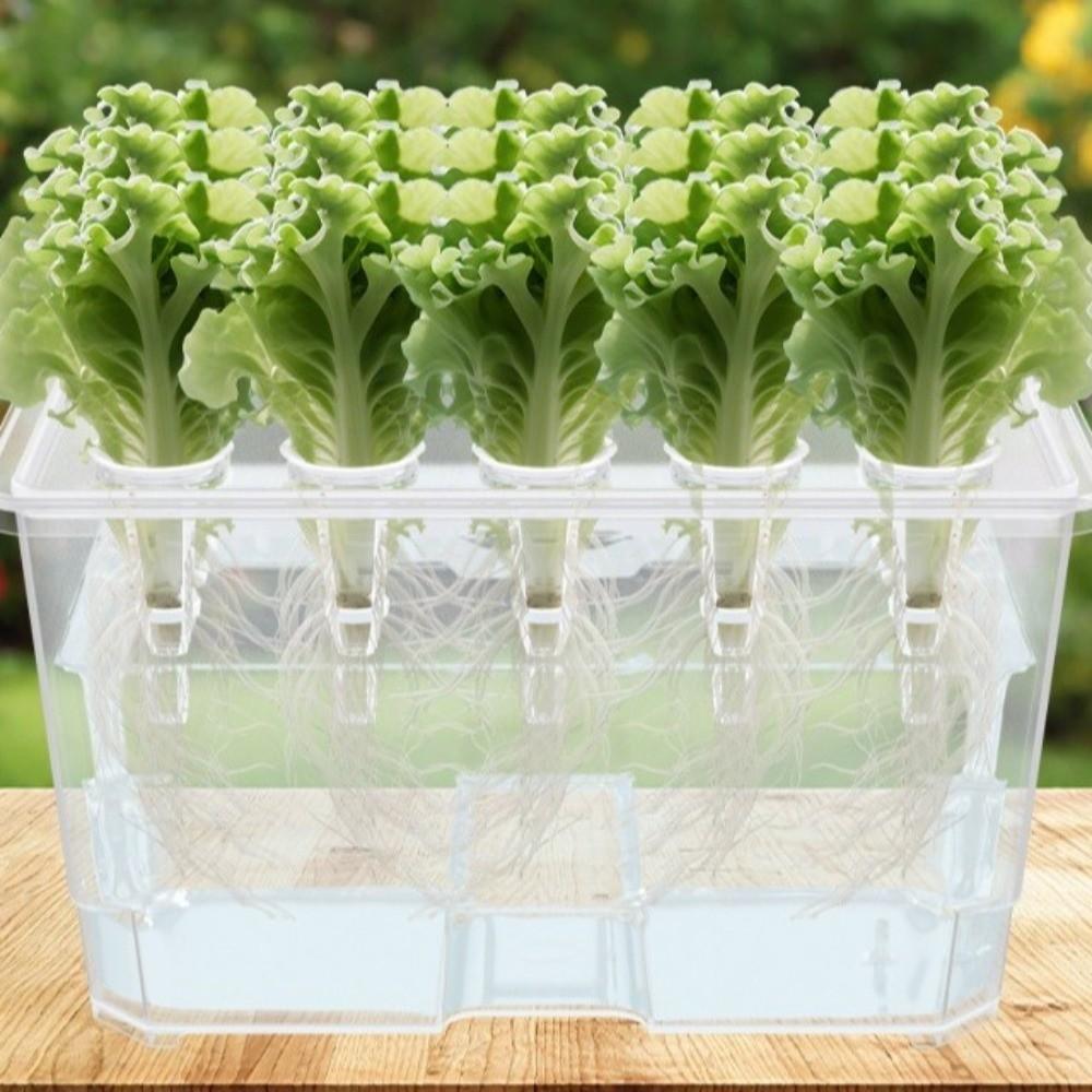Thicken Hydroponic Box Plastic Planting Container Practical Germination Tray  Indoor Gardening
