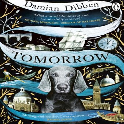 Morgen von Damian Dibben Taschenbuch 9781405925785