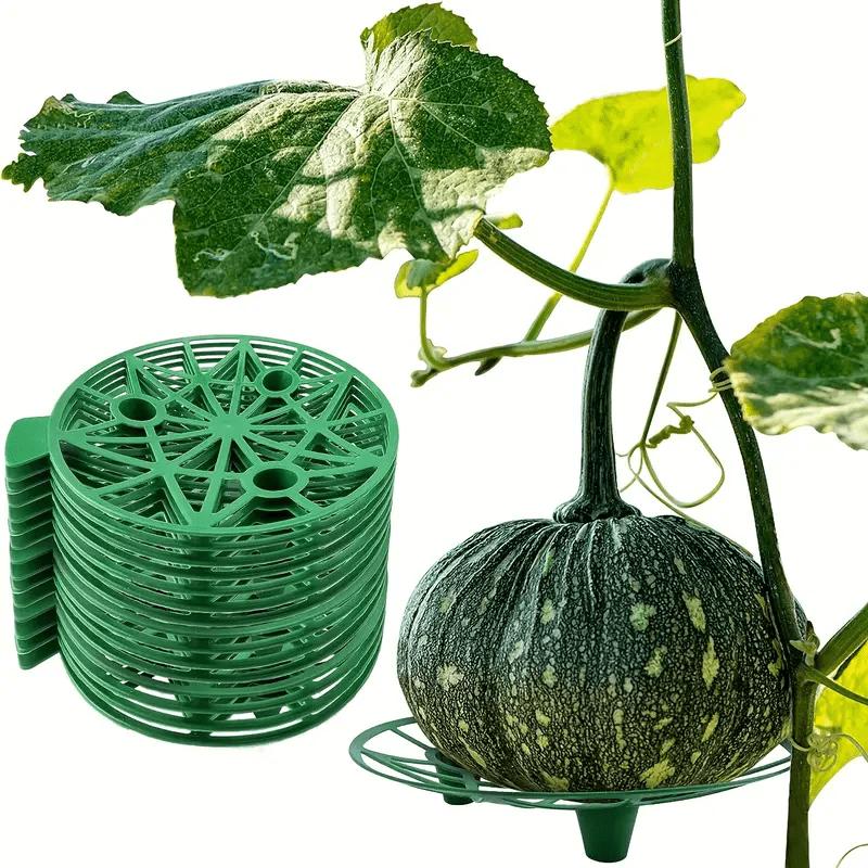Obstschale, Haushalts-Wassermelonenschale, Korrosionsbeständiger Halter für Gartenbauobst, Stabile Westliche Schale