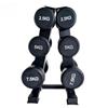 Longzhan Fixed Weight Rubber Dumbbell Set with Rack