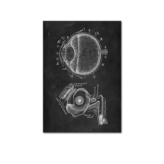 Human Musculoskeletal Heart Anatomy Skeleton Poster Canvas Painting and Printmaking Home Room Painting Decorative Art No Frame