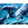 Animal Dolphins with Fish 5D Diy Diamond Painting Full Round Drill Mosaic Diamond Embroidery Rhinestones Home Decoration