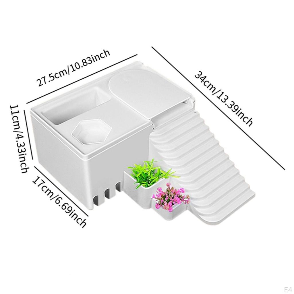 Rampă pentru Terariu Reptile și Broaște Țestoase