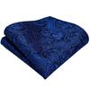 Luxuriöses Paisley-Krawatten-Set für Herren, Seidengewebte Krawatten, Einstecktuch, Manschettenknöpfe, Metall-Silber-Krawattenklammer